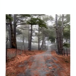 Kindle Biography of Women Memoir B0FM32DYSR 149‑Page eBook-0